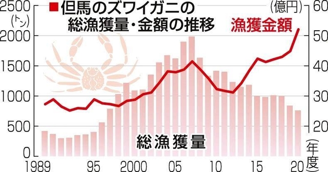神戸新聞next 総合 ズワイガニ漁獲金額が過去最高 ｇｏｔｏ で高級品に予約殺到 兵庫 但馬