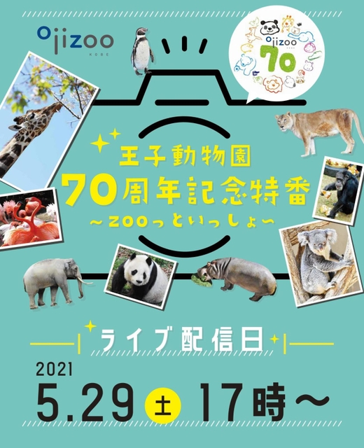 ずーっといっしょ - ワタナベフラワー