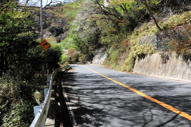 おこげが脚を縛られた状態で見つかった道路＝神戸市灘区六甲山町