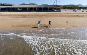波の音だけが響く砂浜で黙々と漂着物を集める組合スタッフ＝３日午前、姫路市的形
