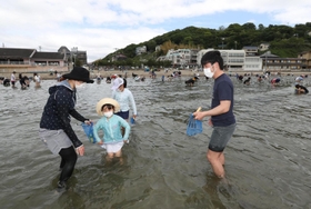 営業を再開した潮干狩り場で貝を探すマスク姿の親子連れら＝１５日午前、たつの市御津町黒崎