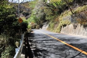 おこげが脚を縛られた状態で見つかった道路＝神戸市灘区六甲山町