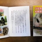 ラトビアから王子動物園にやってきたインドゾウ「ズゼ」の物語を描いた絵本