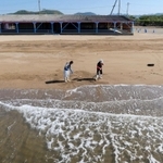 波の音だけが響く砂浜で黙々と漂着物を集める組合スタッフ＝３日午前、姫路市的形