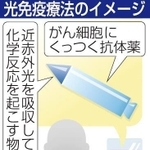 神戸新聞ＮＥＸＴ