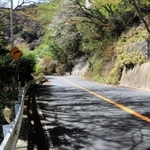 おこげが脚を縛られた状態で見つかった道路＝神戸市灘区六甲山町