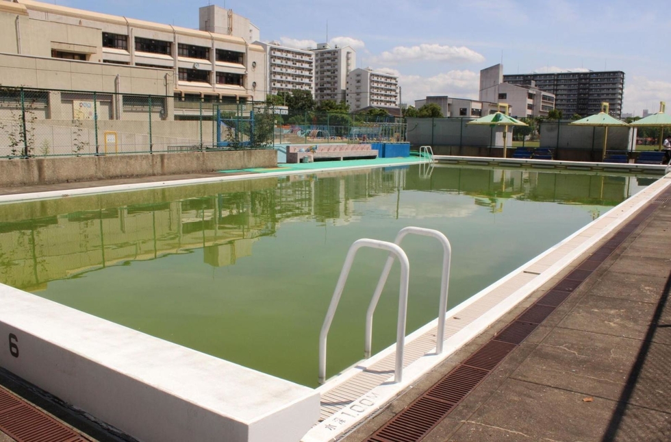 神戸新聞next 総合 水泳の授業 あなたの学校は 神戸 西宮市は中止 姫路市は実施