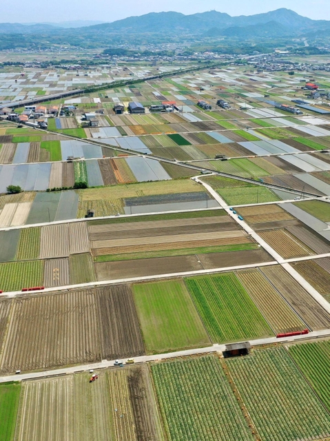 みずみずしいタマネギの青葉、収穫後の大地、水が張られた田んぼなど色とりどりの大地が広がる＝南あわじ市榎列小榎列（小型無人機で撮影）