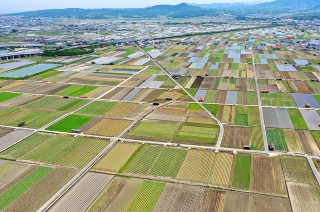 みずみずしいタマネギの青葉、収穫後の大地、水が張られた田んぼなど色とりどりの大地が広がる＝南あわじ市榎列小榎列（小型無人機で撮影）