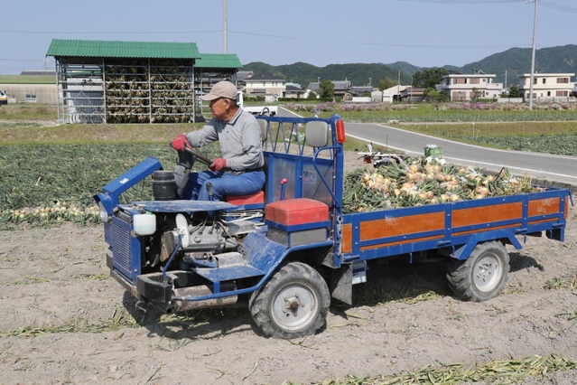 収穫したタマネギを運搬する農民車＝２０１７年５月２９日、南あわじ市賀集鍛冶屋