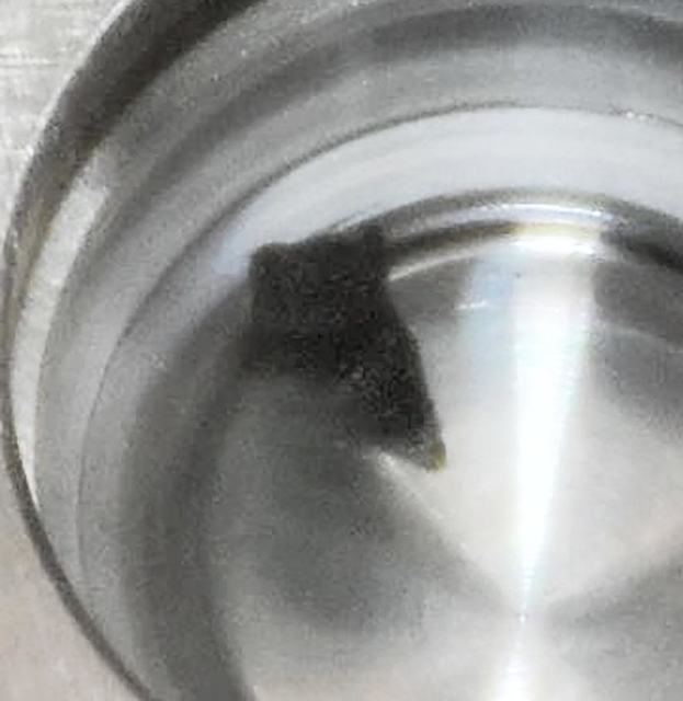 外気に触れないように一つずつ容器に入れられた粒子＝２０日午前、兵庫県佐用町、スプリング８