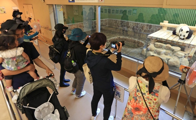 約２カ月ぶりに公開されたタンタンに、ガラス越しにカメラを向ける来園者たち＝２１日午前、神戸市灘区王子町３、王子動物園（撮影・鈴木雅之）