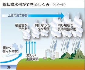 神戸新聞ＮＥＸＴ