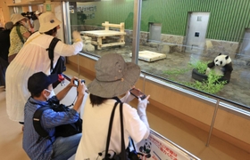 約２カ月ぶりに公開されたタンタンに、ガラス越しにカメラを向ける来園者たち＝２１日午前、神戸市灘区王子町３、王子動物園（撮影・鈴木雅之）