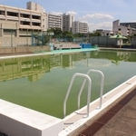 今年も使わないことが決まった学校のプール。消防用水としての利用やプール底面の保護のため水はためたままだ＝神戸市中央区港島中町３、義務教育学校港島学園