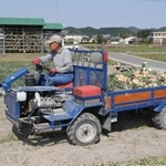 収穫したタマネギを運搬する農民車＝２０１７年５月２９日、南あわじ市賀集鍛冶屋