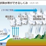 神戸新聞ＮＥＸＴ