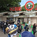 約２カ月ぶりの開園となり、パンダの「タンタン」ファンらも開園前から列を作った＝２１日午前、王子動物園（撮影・鈴木雅之）