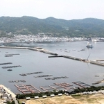 福良地区の町（写真奥）を津波から守るため、設置工事が進む湾口防波堤。湾内には養殖のいけすが浮かぶ＝南あわじ市阿万塩屋町、若人の広場公園から撮影