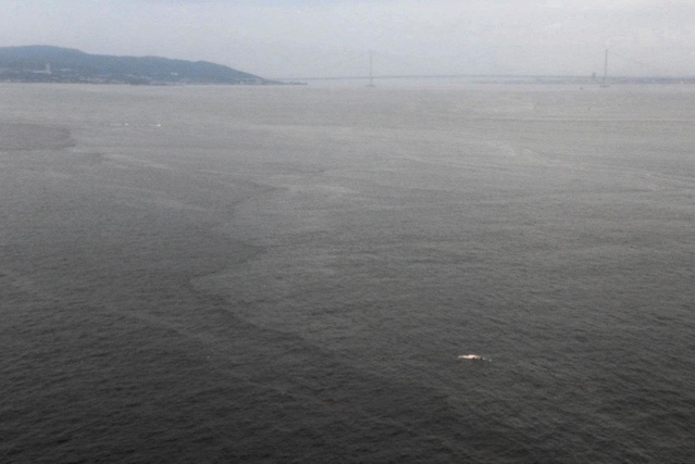 須磨沖合で漂流しているのが見つかったクジラとみられる生き物の死がい（右下、神戸海上保安部提供）