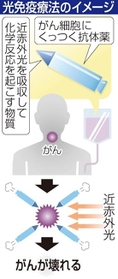 神戸新聞ＮＥＸＴ