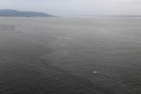 須磨沖合で漂流しているのが見つかったクジラとみられる生き物の死がい（右下、神戸海上保安部提供）