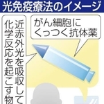 神戸新聞ＮＥＸＴ