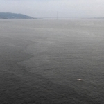 須磨沖合で漂流しているのが見つかったクジラとみられる生き物の死がい（右下、神戸海上保安部提供）