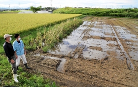 水が引かず、ブロッコリーを植えられない畑を見つめる水沢辰也さん（左）とＪＡ兵庫六甲の担当者＝神戸市西区岩岡町岩岡