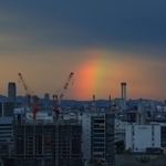 鮮やかな色合いの虹＝２０日午後６時１６分、神戸市中央区東川崎町１から