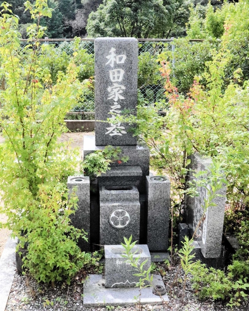 掃除前の墓の写真