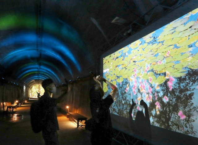 森のトンネル、体験型のデジタルアート 神戸・森林植物園 | 総合