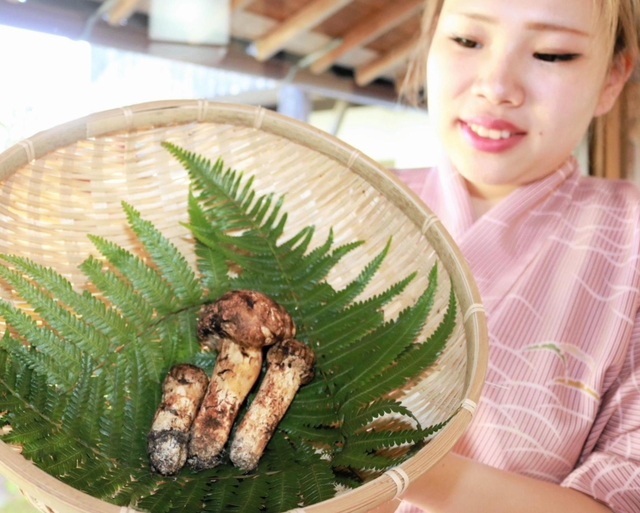 過去最高のキロ単価１１８５万円で落札された丹波篠山市産のマツタケ＝丹波篠山市二階町、「近又」