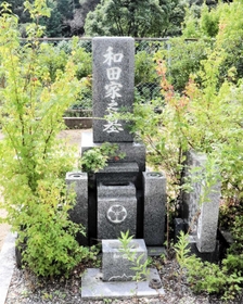 掃除前の墓の写真