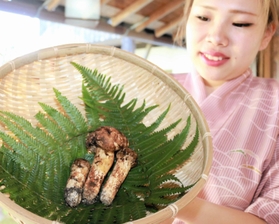 過去最高のキロ単価１１８５万円で落札された丹波篠山市産のマツタケ＝丹波篠山市二階町、「近又」