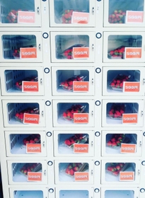 採れたてのイチゴを入れた自販機。２月～５月初旬ごろにのみ販売する＝小野市広渡町（わさび提供）