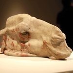 《視界　ｃａｍｅｌ　ｄ‐００７》２０１３年＝神戸市中央区脇浜海岸通１、兵庫県立美術館