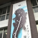 生野支所にお目見えした「オオサンショウウオの棲むまち」をＰＲする懸垂幕＝朝来市生野町口銀谷