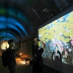 ライトアップされたトンネル内で展開される参加型のデジタルアートプロジェクション。来園者の体の動きに合わせた演出が楽しめる＝神戸市北区山田町、市立森林植物園（撮影・長嶺麻子）