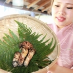 過去最高のキロ単価１１８５万円で落札された丹波篠山市産のマツタケ＝丹波篠山市二階町、「近又」