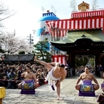 高さ約１８メートルの「置き山」（中央奥）を背に、２０年に１度の三ツ山大祭で奉納土俵入りを披露した横綱白鵬（中央）＝２０１３年４月、姫路市総社本町、播磨国総社