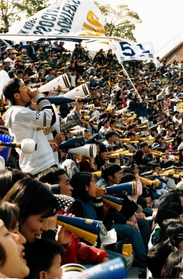 「イチローコール」で盛り上がるスタンド＝１９９６年３月３１日、神戸市須磨区、グリーンスタジアム神戸