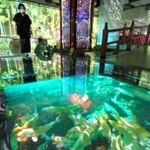 報道関係者に公開された水族館「アトア」。無数のコイが泳ぐ水槽の上を歩ける＝１９日午前、神戸市中央区新港町（撮影・辰巳直之）