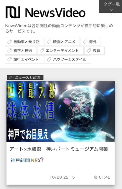 Ｎｅｗｓ　Ｖｉｄｅｏの画面（スマートフォン版）