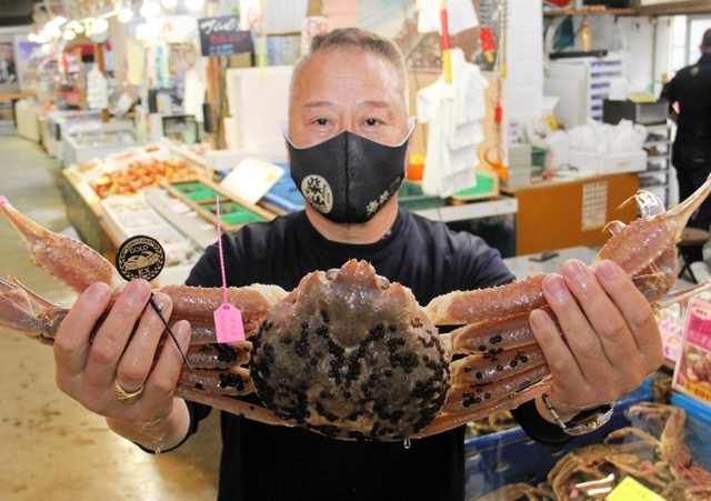 柴山港の初競りで１匹２２２万５６７０円で競り落とされた松葉ガニ＝７日午前、兵庫県香美町香住区境