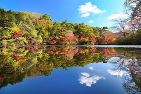 紅葉が見頃を迎えた木々。水面にも鮮やかな風景が広がった＝１３日午前、神戸市立森林植物園