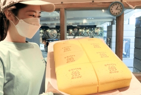 台湾カステラ専門店「澎澎」のプレーン味＝神戸市中央区北長狭通１