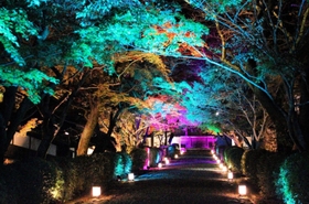 紅葉の美しさが映える参道＝西教寺