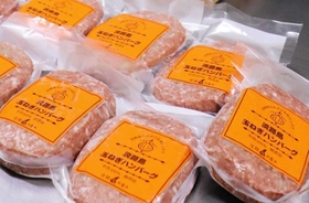 洲本市の返礼品の一つ「淡路島玉ねぎハンバーグ」＝洲本市本町１