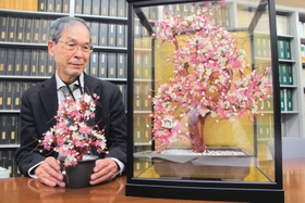 東京に住む強制不妊訴訟の男性原告から兵庫原告団に届いた造花と藤原精吾弁護士＝神戸市中央区